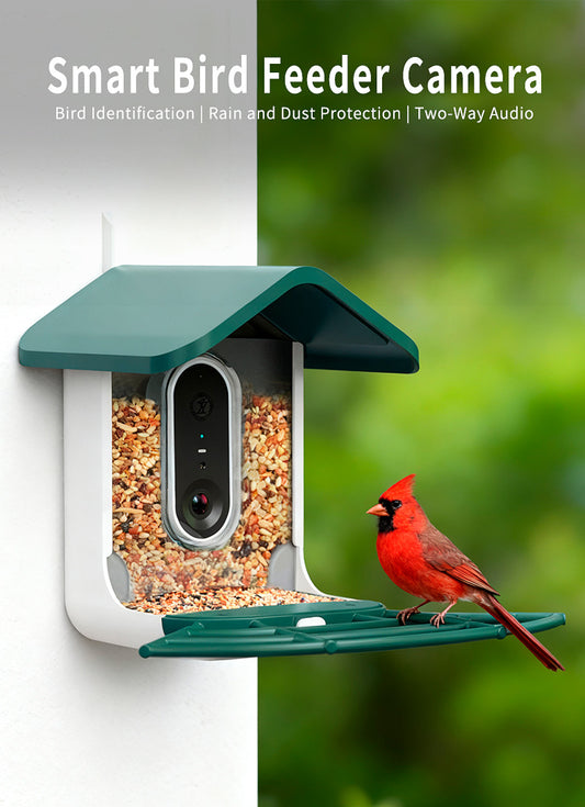 Smart Bird‑Feeder Camera w/ AI Bird Recognition – OEM / White‑Label Ready